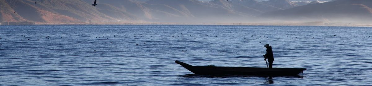 流浪貓的旅行筆記