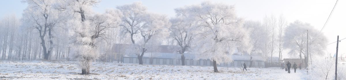 流浪貓的旅行筆記