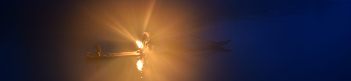 流浪貓的旅行筆記