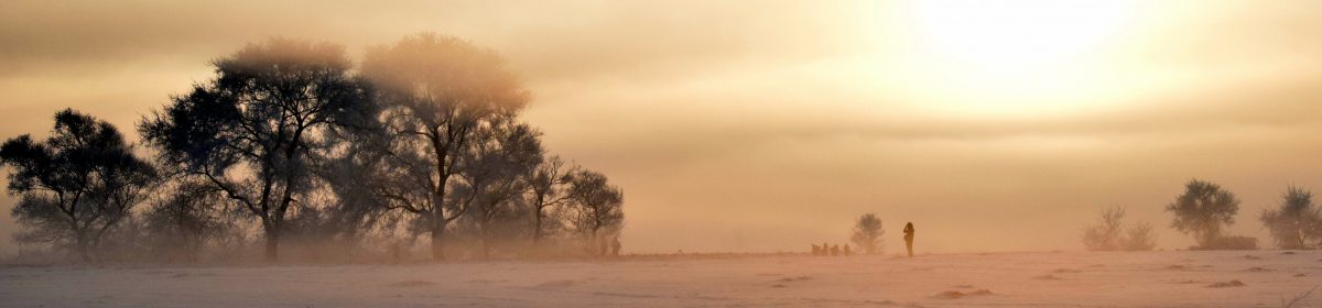 流浪貓的旅行筆記