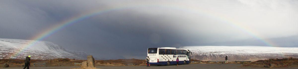 流浪貓的旅行筆記