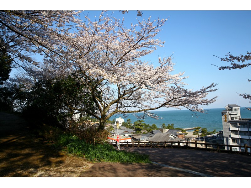[日本]京都．櫻花季景點比一比～圓山公園夜櫻、祇園白川夜櫻、醍醐寺、蹴上鐵道